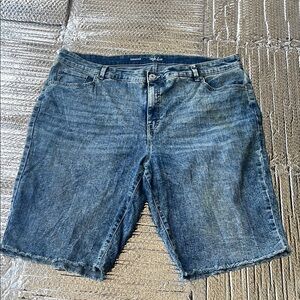 Style & co Men's Blue Denim Shorts